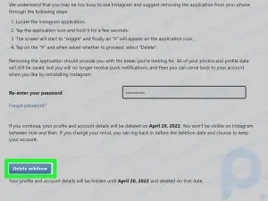 How to Delete an Instagram Account Without the Password