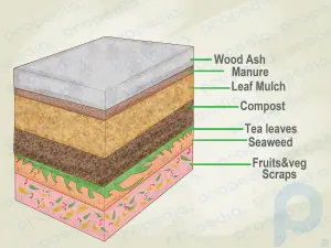 How to Turn Clay Into Growing Soil