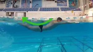 How to Do the Dolphin Kick