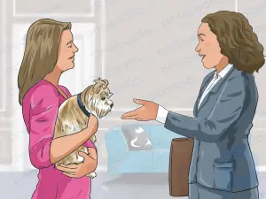 Como cuidar do cachorro quando você tem seu próprio cachorro
