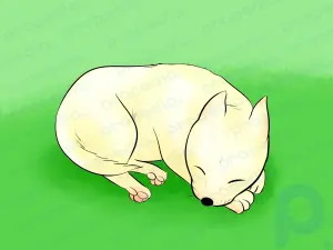 Cómo dibujar un perro de dibujos animados