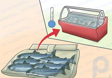 Paso 4 Verifique que el pescado esté almacenado correctamente antes de comprarlo.