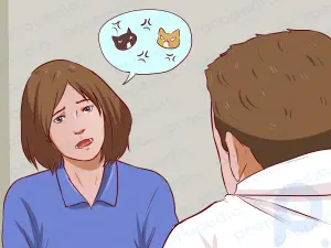 Comment encourager plusieurs chats à s'entendre