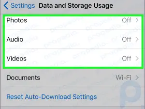 How to Turn Off Cellular Data for WhatsApp on an iPhone