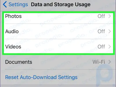 How to Turn Off Cellular Data for WhatsApp on an iPhone