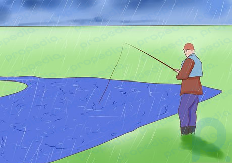 Шаг 4. Решите, когда ловить рыбу.
