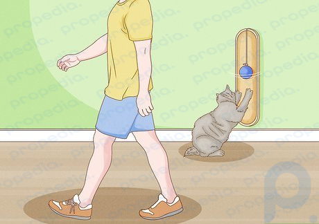 Step 7 Leave your home without acknowledging your cat.