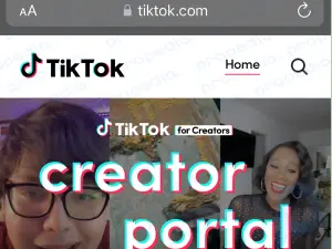 Como conseguir mais curtidas no TikTok: o guia definitivo