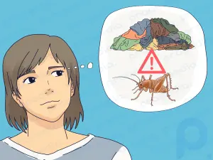 8 стратегий уничтожения сверчков-пауков в вашем доме