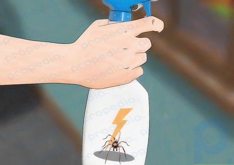Шаг 1. Используйте химические вещества, специально предназначенные для борьбы с пауками.