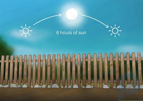 Step 1 Choose a planting area that gets 6 hours of sun each day.