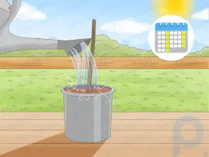 Des moyens faciles de faire pousser des boutures de plantes dans l’eau ou le sol pour la propagation