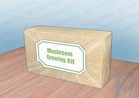 Step 1 Purchase a mushroom growing kit from your local gardening supply store.