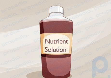 Step 3 Pick a nutrient solution specific to strawberries.