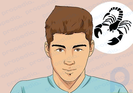 Schritt 9 Lernen Sie die körperlichen Merkmale des Skorpions kennen.