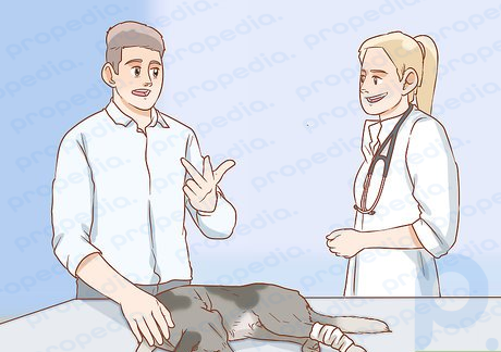 Step 7 Get your dog to the veterinary hospital.