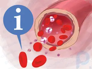 Kırmızı Kan Hücresi Sayısı Nasıl Artırılır?