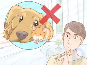 Wie man sowohl einen Hamster als auch einen Hund besitzt