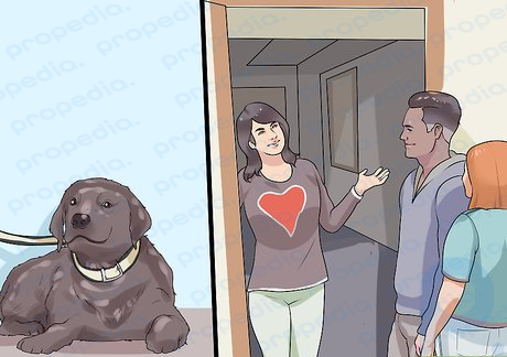 Schritt 5: Legen Sie Ihren Hund an die Leine, bevor Sie Gäste hereinlassen.