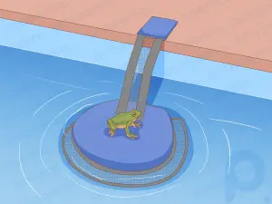 Les meilleures façons de se débarrasser des grenouilles dans votre piscine