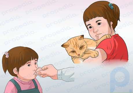 Step 3 Give your child an allergy medication a few hours before interacting with a cat.